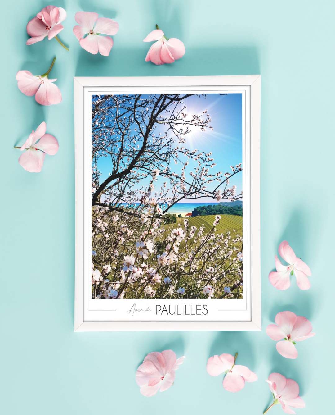 Affiche Anse de Paulilles - Amandiers