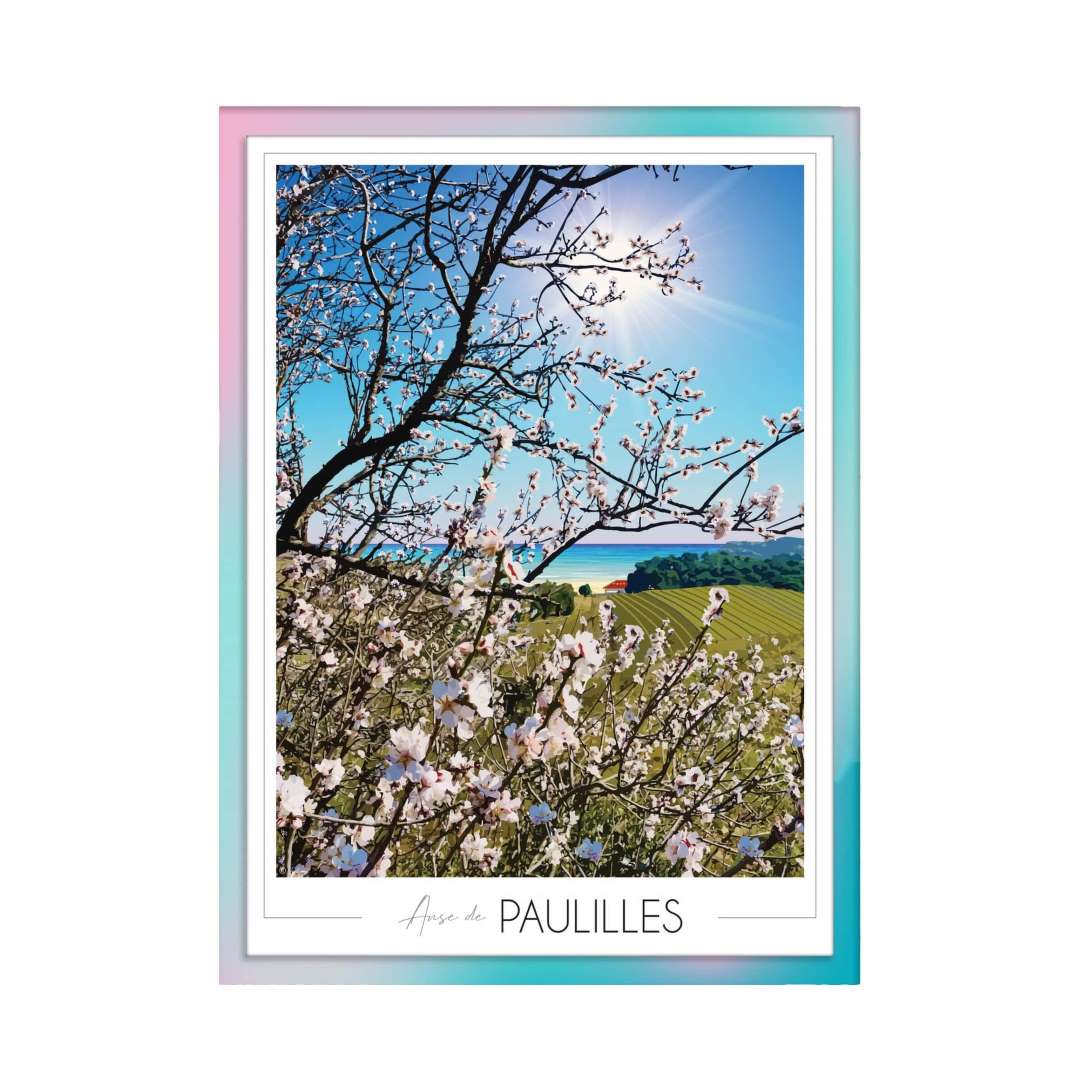Affiche Anse de Paulilles - Amandiers