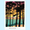 Affiche Arcachon Plage Pereire
