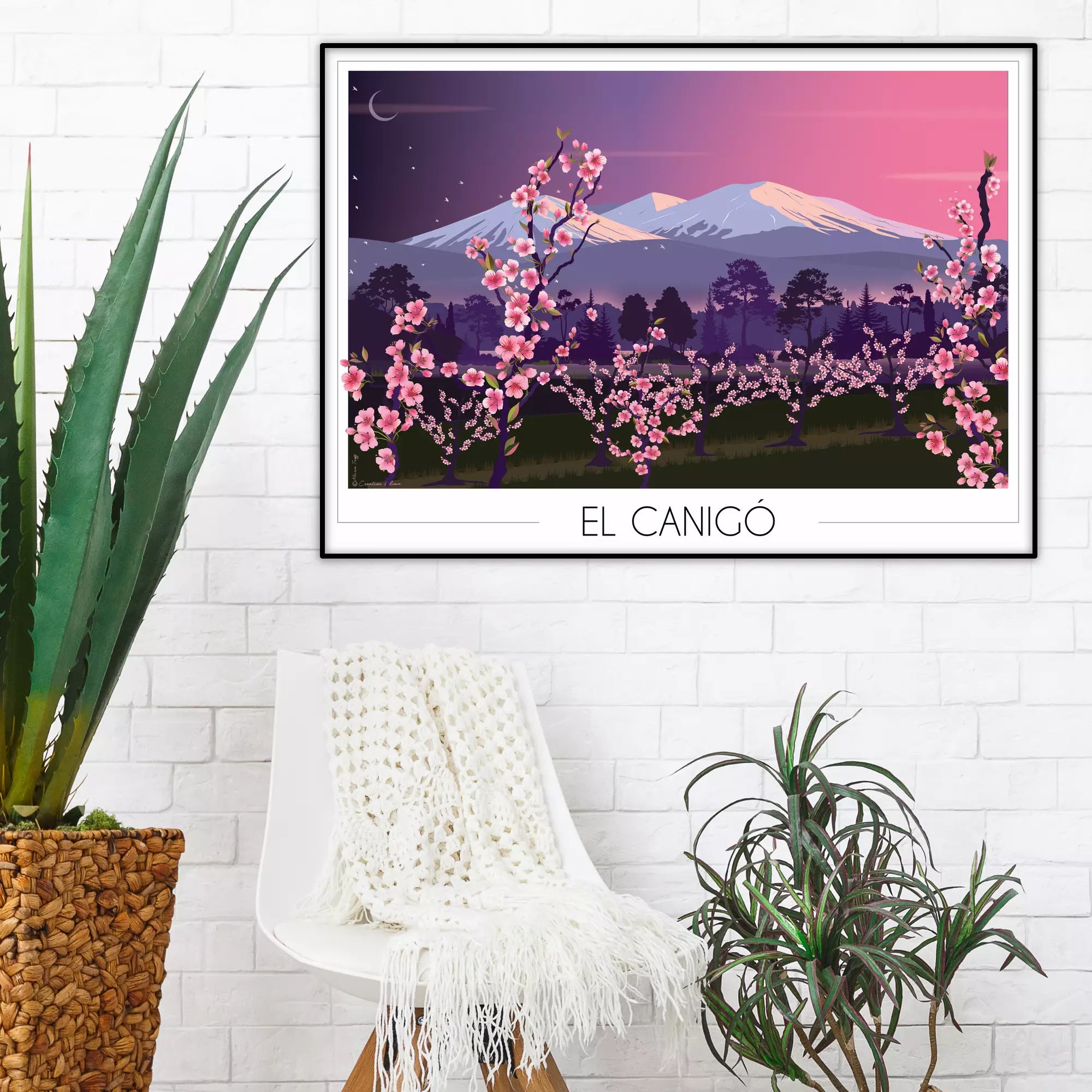 Affiche Canigou Pêchers en fleurs