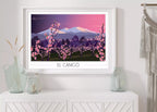 Affiche Canigou Pêchers en fleurs