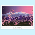 Affiche Canigou Pêchers en fleurs