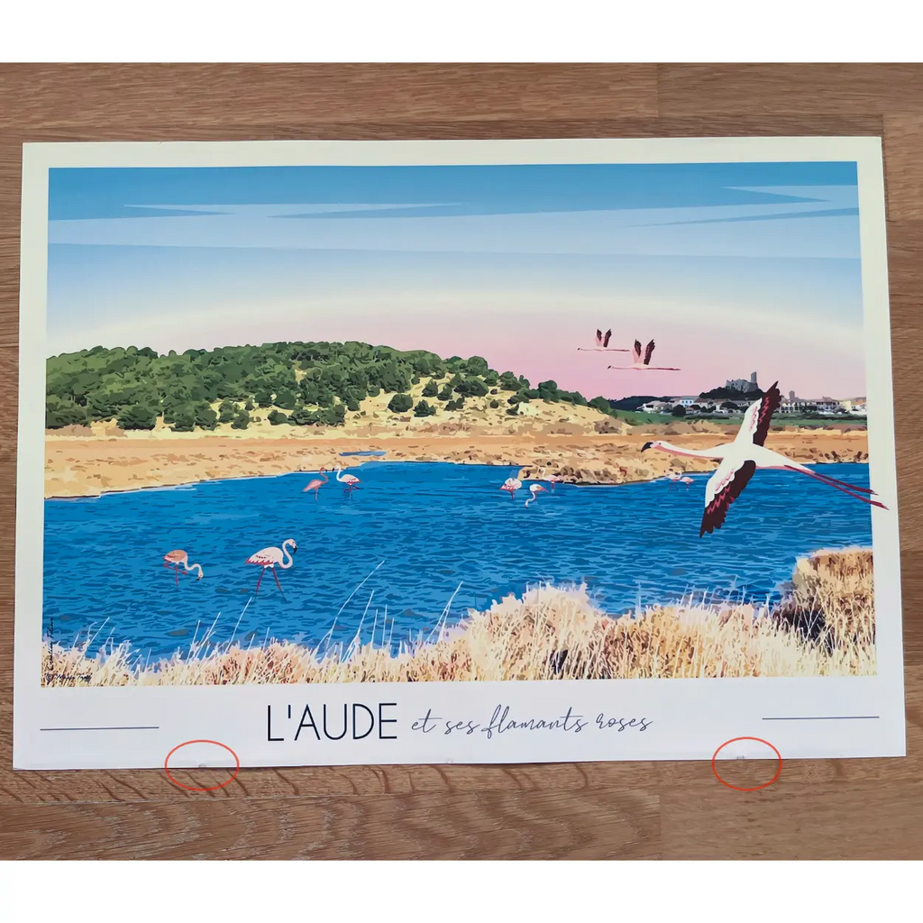 Affiche Aude et ses flamants roses | Imparfaite 30x42 cm