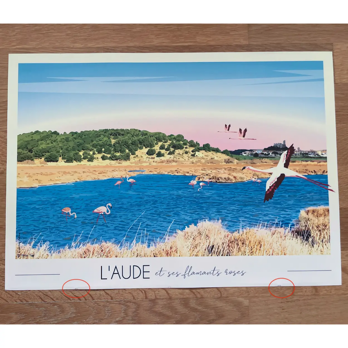 Affiche Aude et ses flamants roses | Imparfaite 30x42 cm