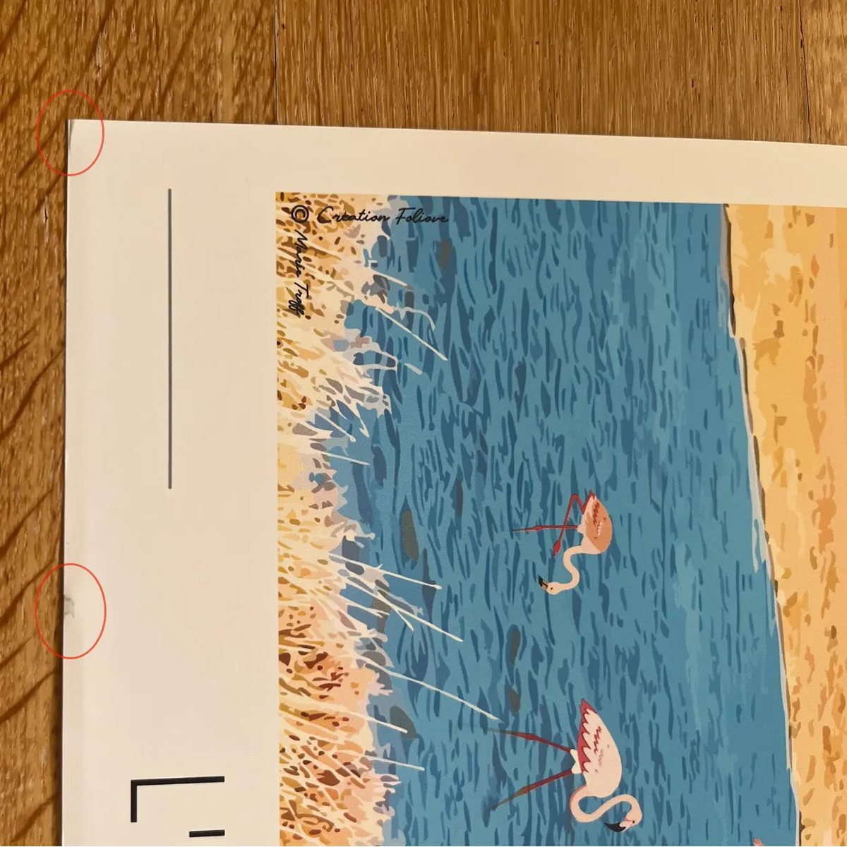 Affiche Aude et ses flamants roses | Imparfaite 30x42 cm