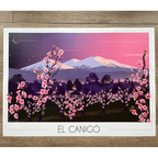 Affiche Canigou Pêchers en fleurs | Imparfaite 50x70 cm