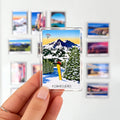Ant Farm Magnet