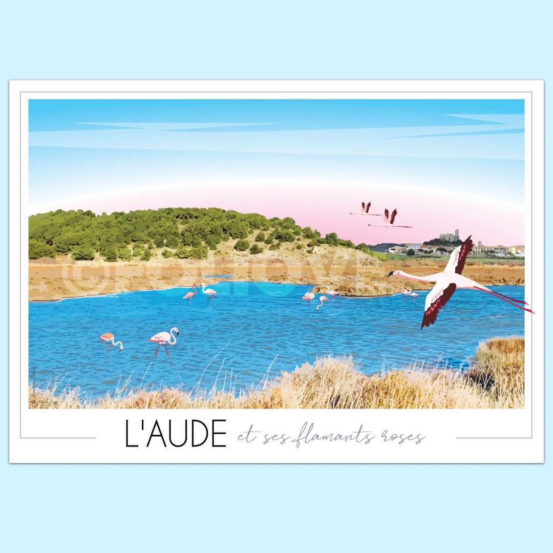 Affiche Aude et ses flamants roses