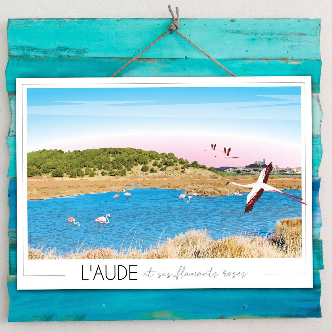 Affiche Aude et ses flamants roses