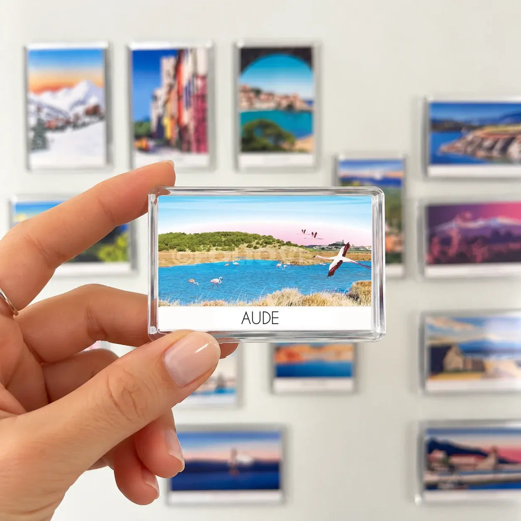 Magnet Aude et ses flamants roses