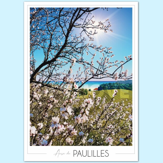 Affiche vintage Anse de Paulilles vignes_1